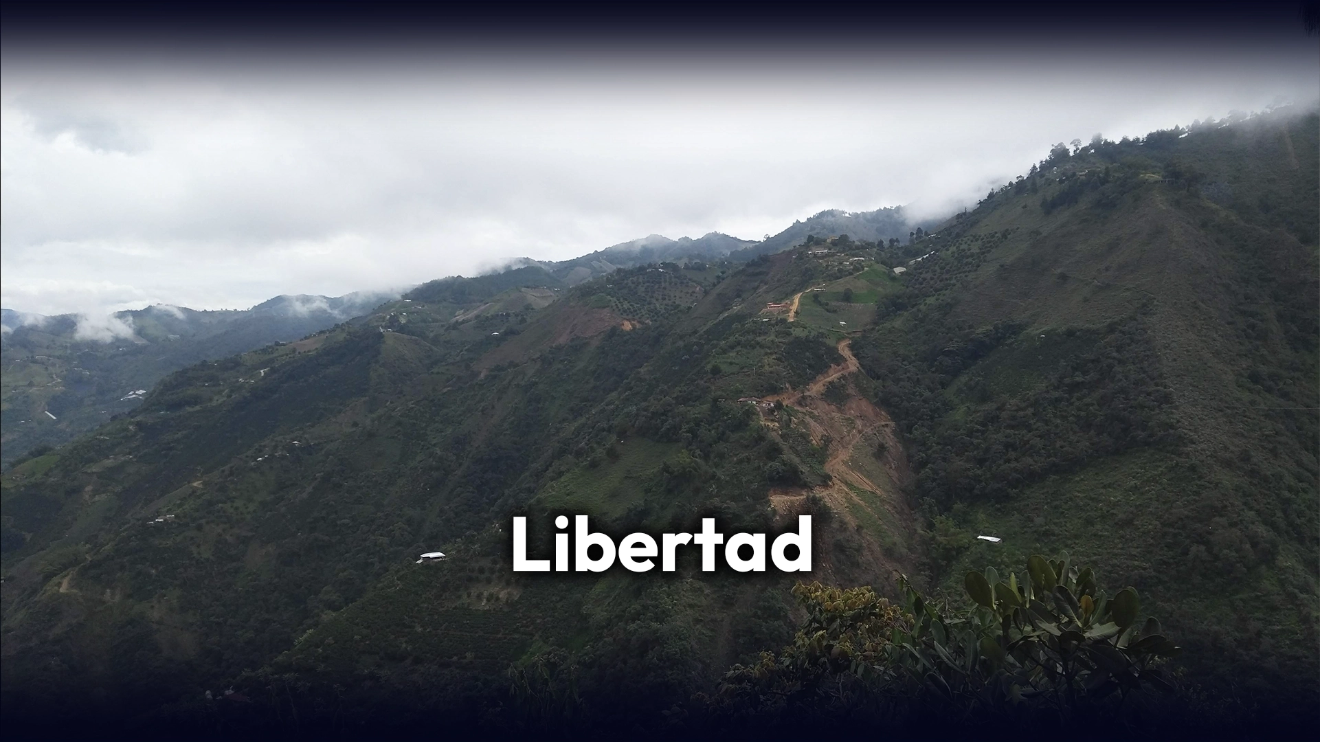 10 Libertad