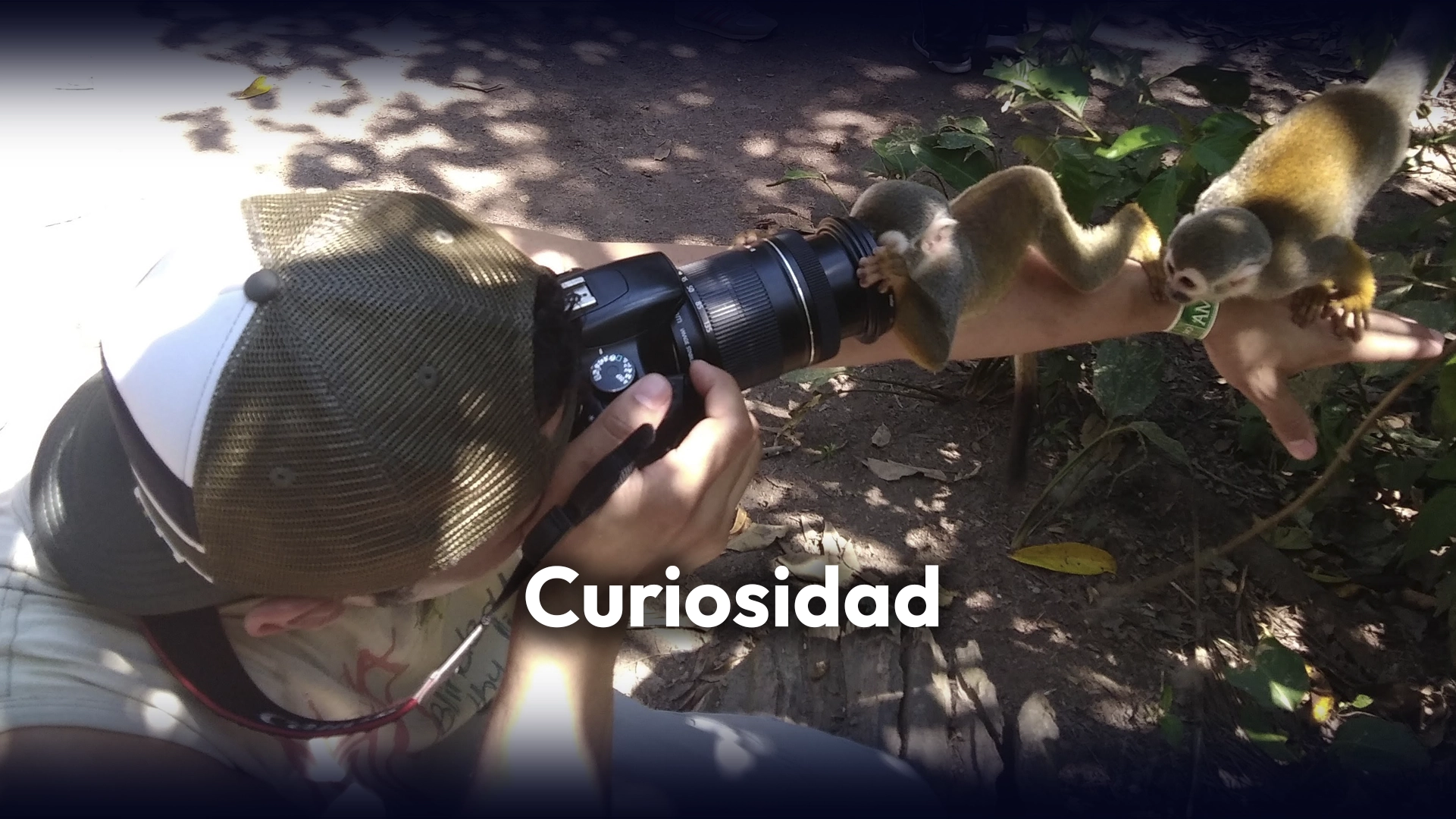 18 Curioso
